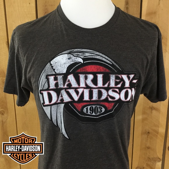 Harley-Davidson Other - HARLEY DAVIDSON MENS TEE - NWT